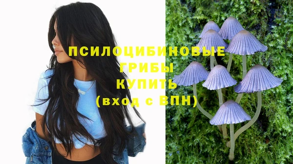 шишки Семикаракорск
