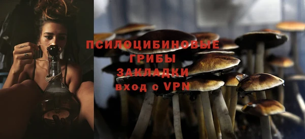 твердый Абаза