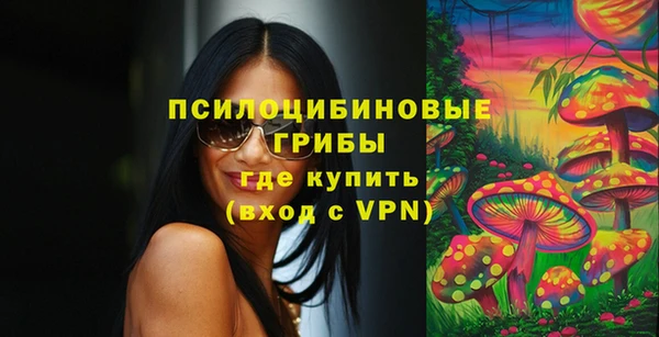 PSILOCYBIN Абдулино