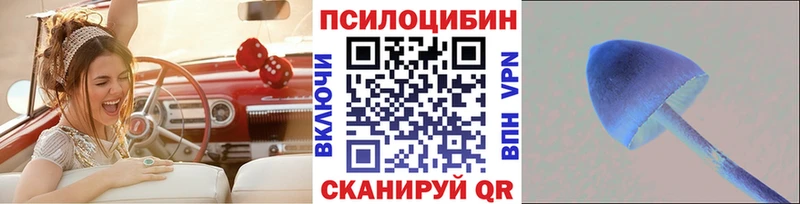 Псилоцибиновые грибы Psilocybe  где найти   нарко площадка формула  Клинцы 